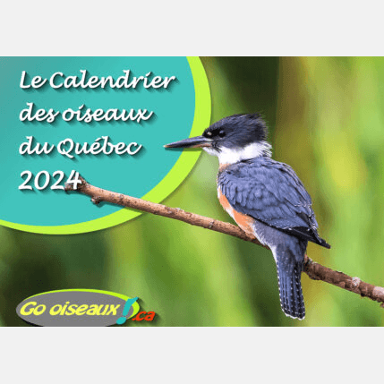 Calendrier Go Oiseaux 2024 - Astronomy Plus