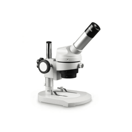 Walter All Purpose Dissecting Microscope (2054) - Astronomy Plus