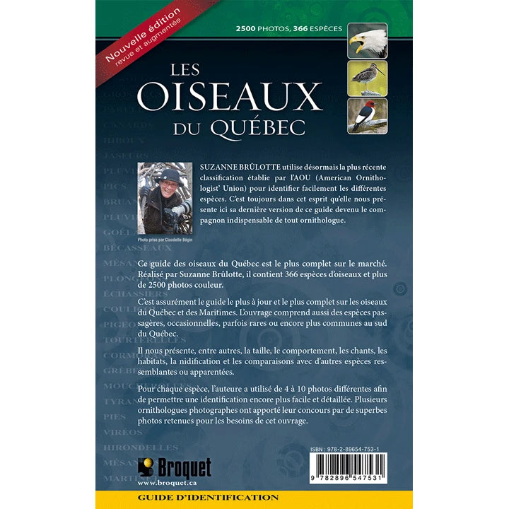 Les Oiseaux du Québec - Brûlotte