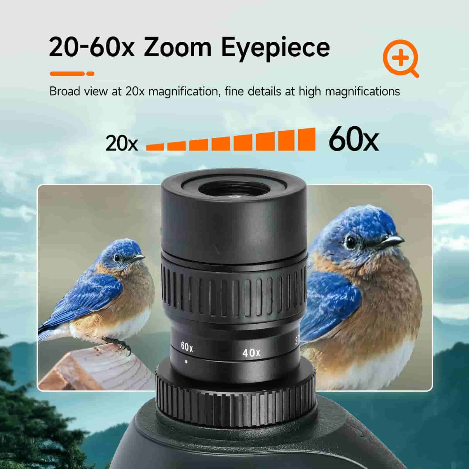 SVBony SV406 Spotting Scope HD 20-60x80 (F9355E) - Astronomy Plus