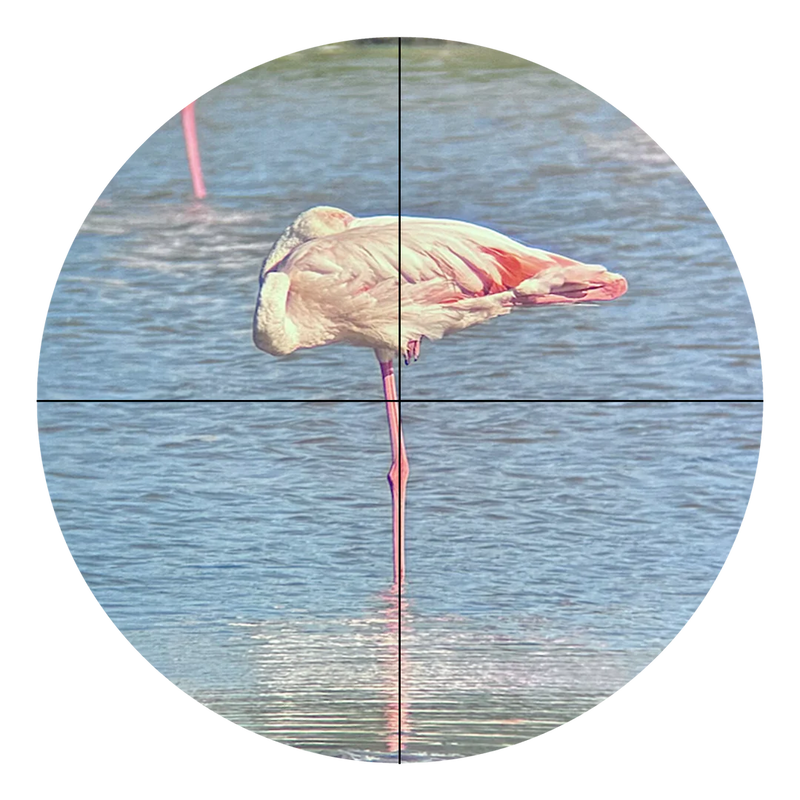 Vaonis Finder Scope Kit for Hestia (AC043)