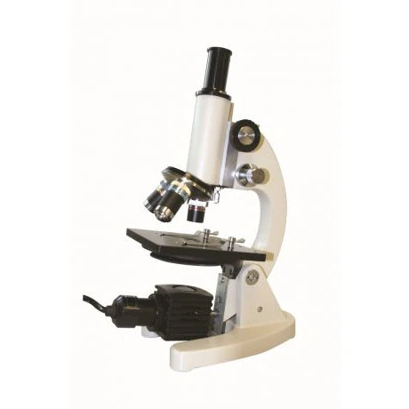 Walter Full Size Classic Microscope (3055)