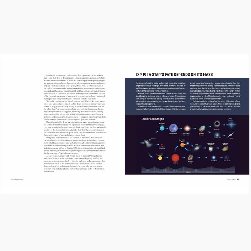 Webb's Cosmos : Images and Discoveries from the James Webb Space Telescope