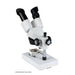 Celestron Labs S1030N Stereo Microscope (44138) - Astronomy Plus