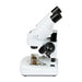 Celestron Labs S20 Angled Stereo Microscope (44137) - Astronomy Plus