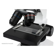 Celestron Microscope Calibration Slide (44401) - Astronomy Plus