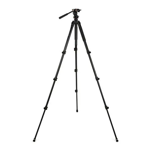 Celestron Regal Premium Tripod (82052) - Astronomy Plus