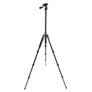 Celestron Tripod Hummingbird (82051) - Astronomy Plus