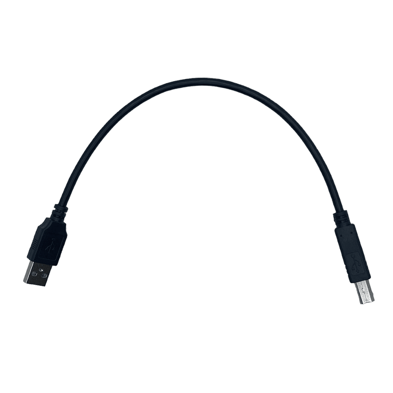 Pegasus Astro USB 2.0-A male > USB 2.0-B male 0.3m (USB2B-03M) - Astronomy Plus