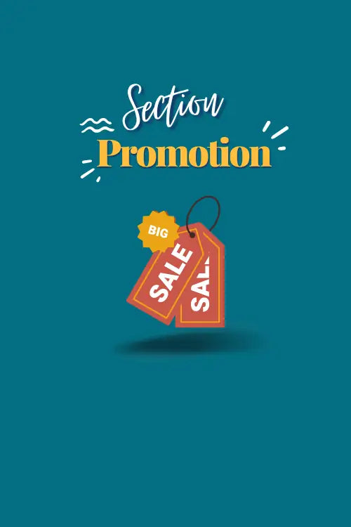 Section Promotion Image French